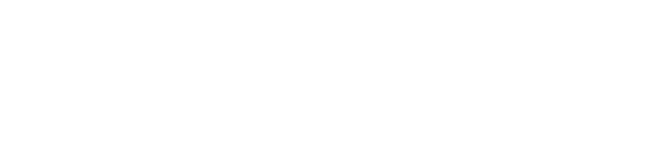 camelQA logo
